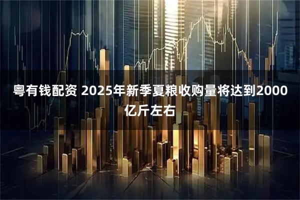 粤有钱配资 2025年新季夏粮收购量将达到2000亿斤左右