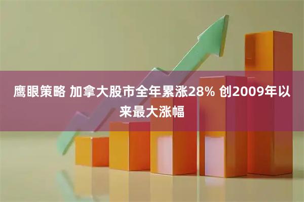 鹰眼策略 加拿大股市全年累涨28% 创2009年以来最大涨幅