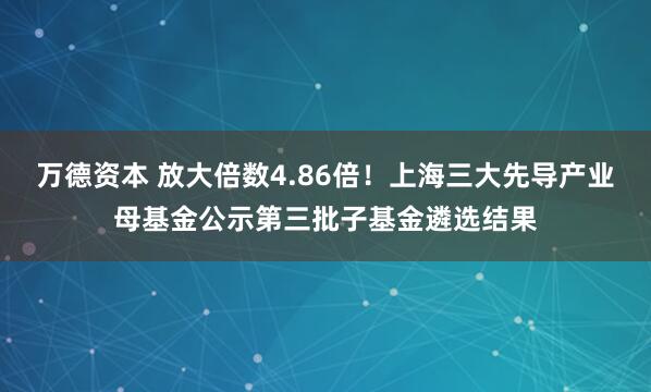 万德资本 放大倍数4.86倍！上海三大先导产业母基金公示第三批子基金遴选结果