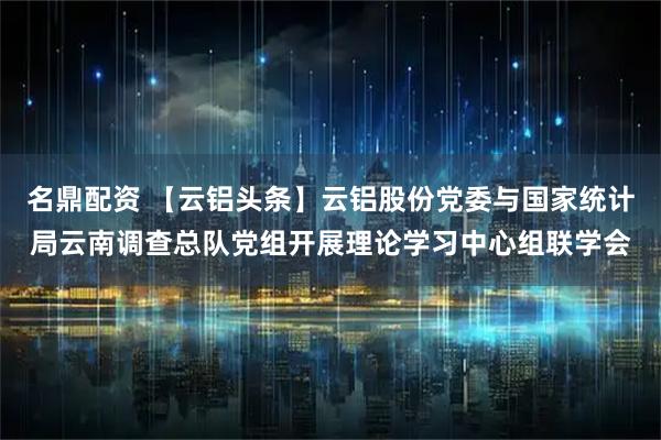 名鼎配资 【云铝头条】云铝股份党委与国家统计局云南调查总队党组开展理论学习中心组联学会