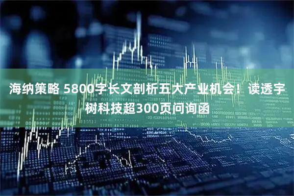 海纳策略 5800字长文剖析五大产业机会！读透宇树科技超300页问询函